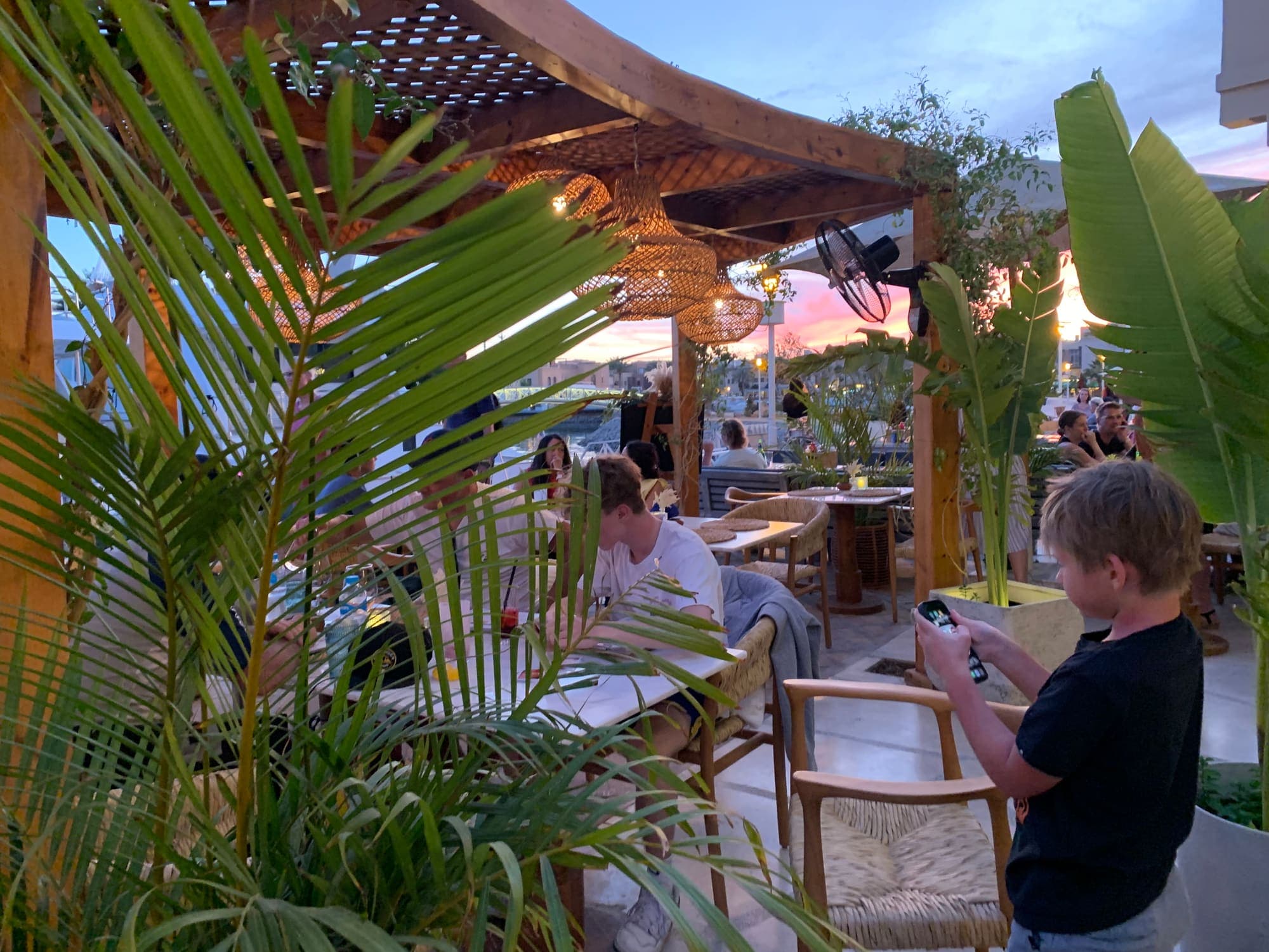 Palm fronds in the foreground, guests dining behind them
